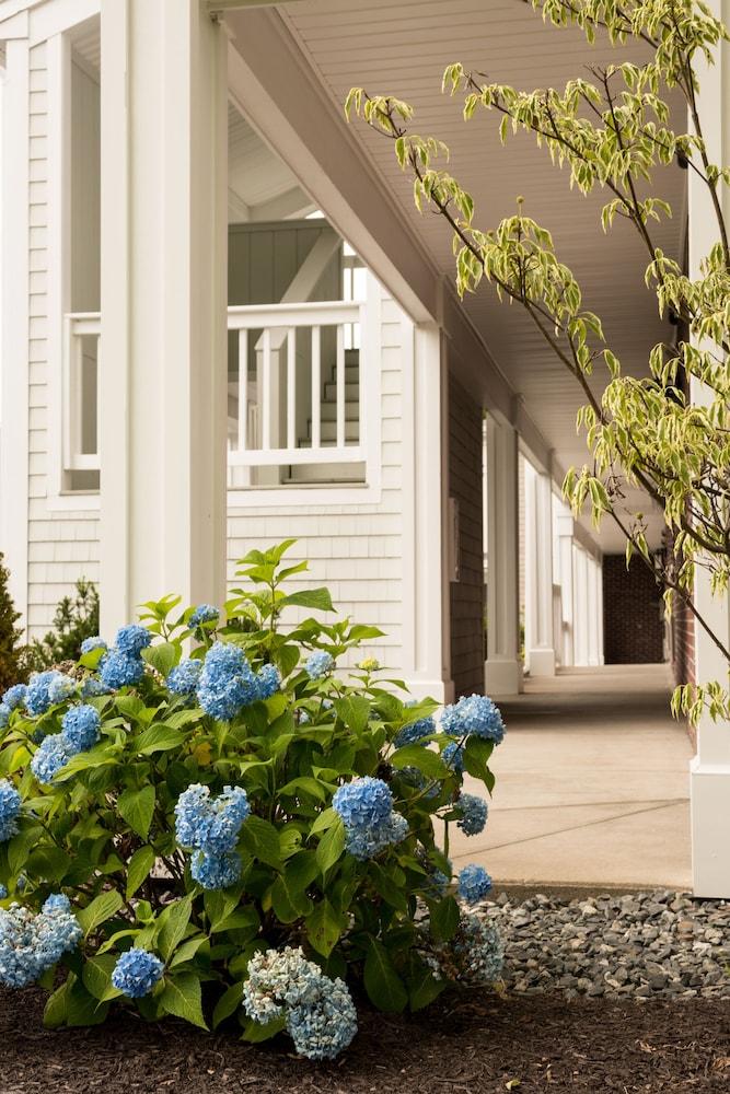 Port & Kennebunk, Ascend Collection