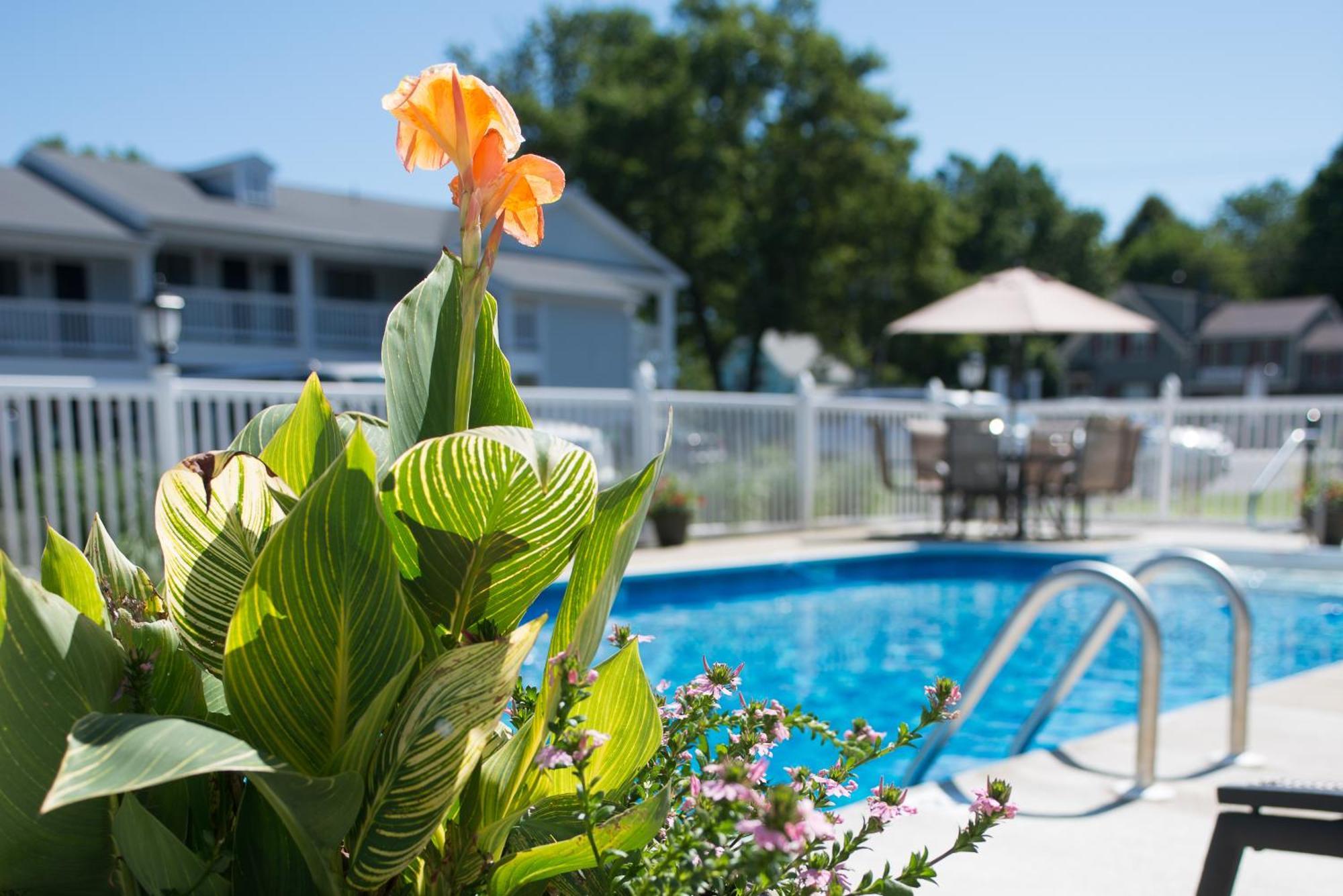Port & Kennebunk, Ascend Collection Kennebunk