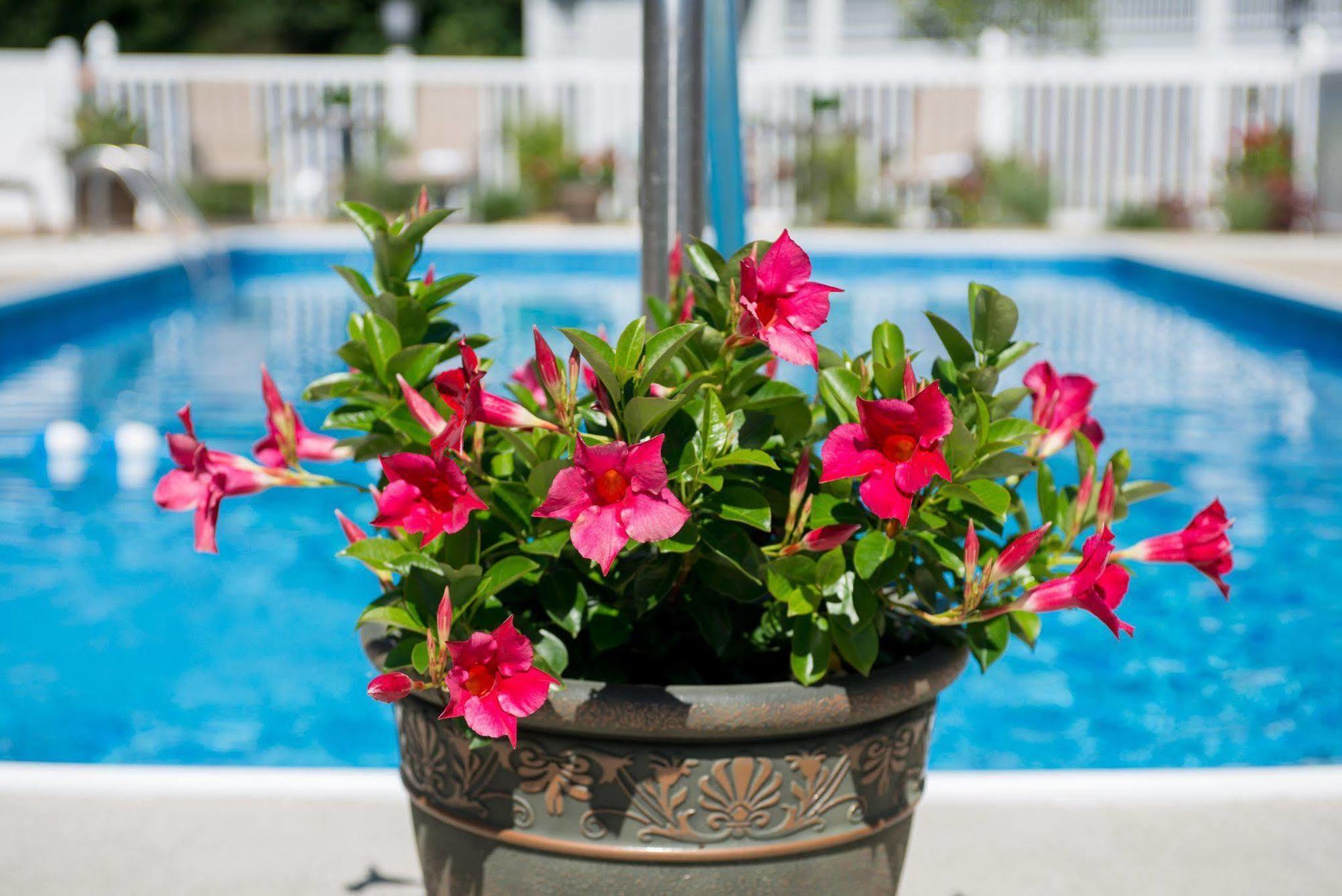 Port & Kennebunk, Ascend Collection